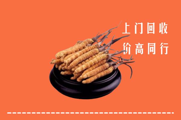 高价求购：乌海回收散虫草