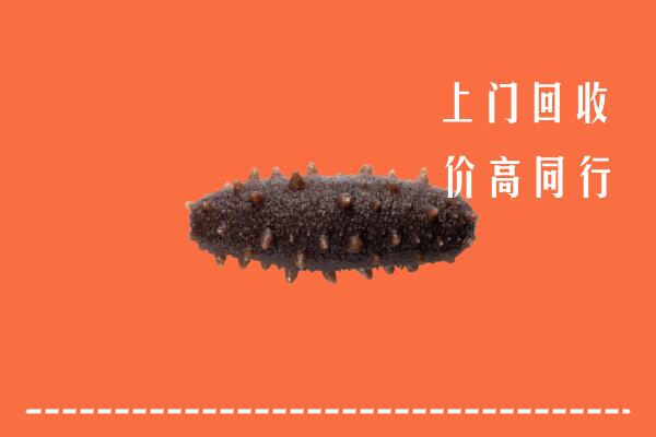 乌海回收海参