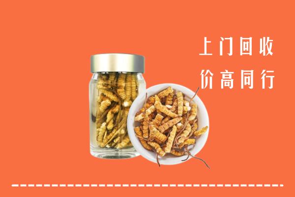 乌海回收冬虫夏草