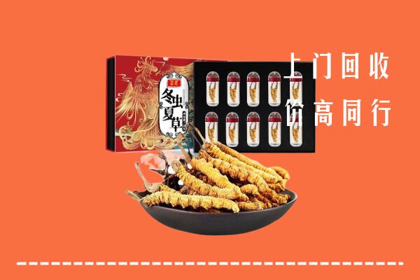 乌海回收虫草